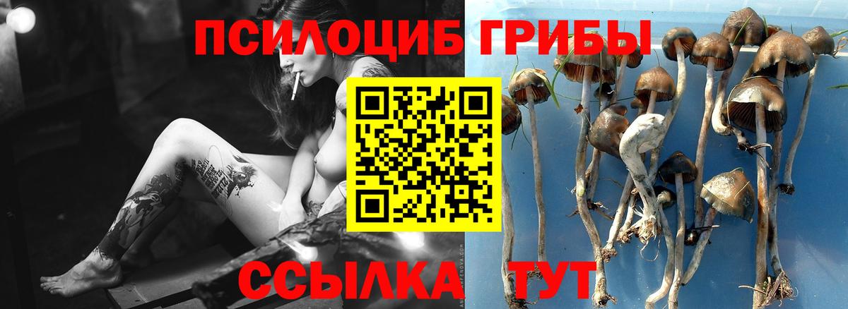 Псилоцибиновые грибы GOLDEN TEACHER  Вход с VPN  Барабинск 